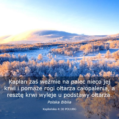 Picture 03 - Kapłańska 4:30 POLUBG - Kapłan zaś weźmie na palec nieco jej krwi i - Bible Verse Picture