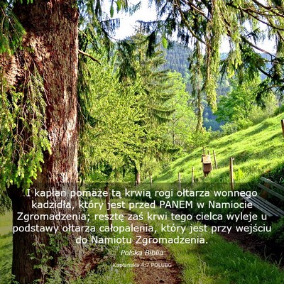 Picture 03 - Kapłańska 4:7 POLUBG - I kapłan pomaże tą krwią rogi ołtarza - Bible Verse Picture