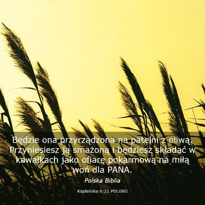 Picture 03 - Kapłańska 6:21 POLUBG - Będzie ona przyrządzona na patelni z oliwą. - Bible Verse Picture