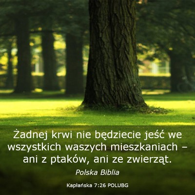Picture 03 - Kapłańska 7:26 POLUBG - Żadnej krwi nie będziecie jeść we wszystkich - Bible Verse Picture