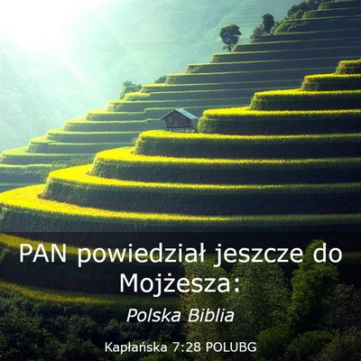 Picture 03 - Kapłańska 7:28 POLUBG - PAN powiedział jeszcze do - Bible Verse Picture