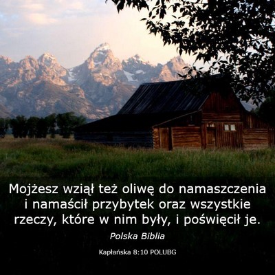 Picture 03 - Kapłańska 8:10 POLUBG - Mojżesz wziął też oliwę do namaszczenia i - Bible Verse Picture