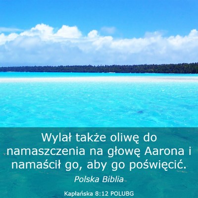 Picture 03 - Kapłańska 8:12 POLUBG - Wylał także oliwę do namaszczenia na głowę - Bible Verse Picture