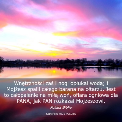 Picture 03 - Kapłańska 8:21 POLUBG - Wnętrzności zaś i nogi opłukał wodą; i - Bible Verse Picture