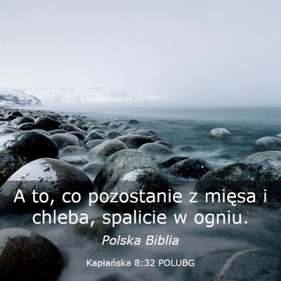 Picture 03 - Kapłańska 8:32 POLUBG - A to, co pozostanie z mięsa i chleba, spalicie w - Bible Verse Picture