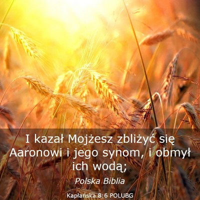 Picture 03 - Kapłańska 8:6 POLUBG - I kazał Mojżesz zbliżyć się Aaronowi i jego - Bible Verse Picture