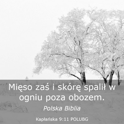 Picture 03 - Kapłańska 9:11 POLUBG - Mięso zaś i skórę spalił w ogniu poza - Bible Verse Picture