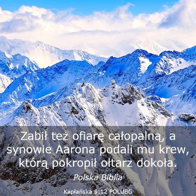 Picture 03 - Kapłańska 9:12 POLUBG - Zabił też ofiarę całopalną, a synowie Aarona - Bible Verse Picture