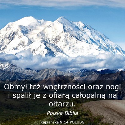 Picture 03 - Kapłańska 9:14 POLUBG - Obmył też wnętrzności oraz nogi i spalił je - Bible Verse Picture