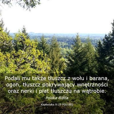 Picture 03 - Kapłańska 9:19 POLUBG - Podali mu także tłuszcz z wołu i barana, ogon, - Bible Verse Picture
