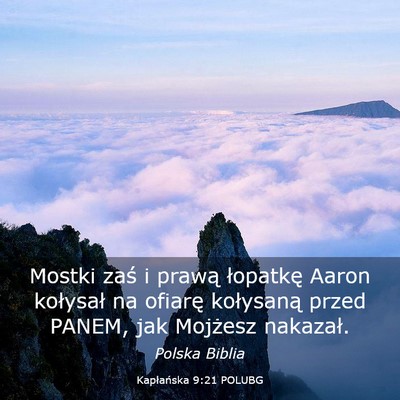Picture 03 - Kapłańska 9:21 POLUBG - Mostki zaś i prawą łopatkę Aaron kołysał na - Bible Verse Picture