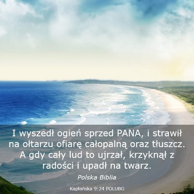 Picture 03 - Kapłańska 9:24 POLUBG - I wyszedł ogień sprzed PANA, i strawił na - Bible Verse Picture