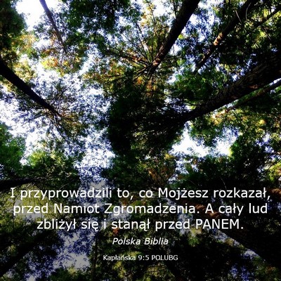 Picture 03 - Kapłańska 9:5 POLUBG - I przyprowadzili to, co Mojżesz rozkazał, przed - Bible Verse Picture