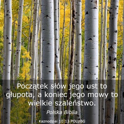 Picture 03 - Kaznodziei 10:13 POLUBG - Początek słów jego ust to głupota, a koniec - Bible Verse Picture