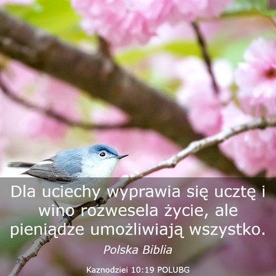 Picture 03 - Kaznodziei 10:19 POLUBG - Dla uciechy wyprawia się ucztę i wino rozwesela - Bible Verse Picture