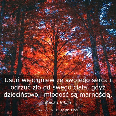 Picture 03 - Kaznodziei 11:10 POLUBG - Usuń więc gniew ze swojego serca i odrzuć zło - Bible Verse Picture