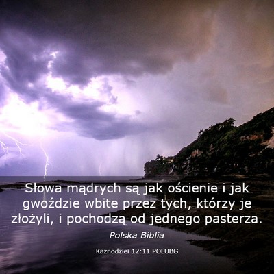Picture 03 - Kaznodziei 12:11 POLUBG - Słowa mądrych są jak ościenie i jak gwoździe - Bible Verse Picture