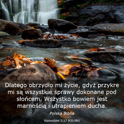 Picture 03 - Kaznodziei 2:17 POLUBG - Dlatego obrzydło mi życie, gdyż przykre mi są - Bible Verse Picture