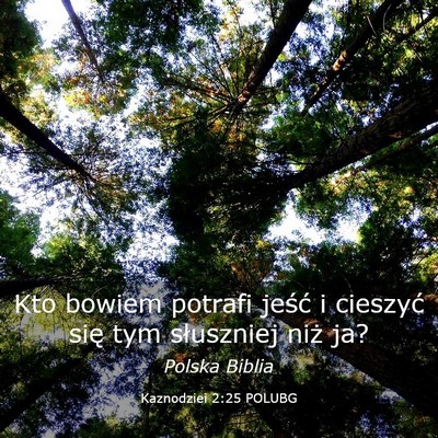 Picture 03 - Kaznodziei 2:25 POLUBG - Kto bowiem potrafi jeść i cieszyć się tym - Bible Verse Picture