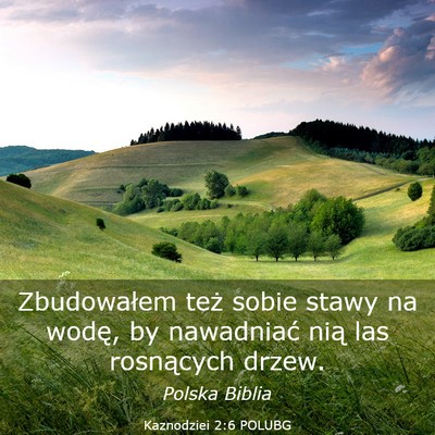 Picture 03 - Kaznodziei 2:6 POLUBG - Zbudowałem też sobie stawy na wodę, by - Bible Verse Picture