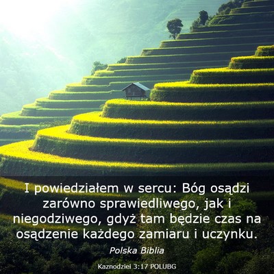 Picture 03 - Kaznodziei 3:17 POLUBG - I powiedziałem w sercu: Bóg osądzi zarówno - Bible Verse Picture