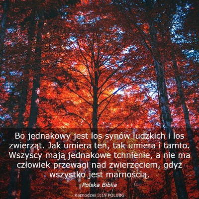 Picture 03 - Kaznodziei 3:19 POLUBG - Bo jednakowy jest los synów ludzkich i los - Bible Verse Picture