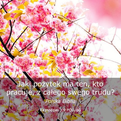 Picture 03 - Kaznodziei 3:9 POLUBG - Jaki pożytek ma ten, kto pracuje, z całego - Bible Verse Picture