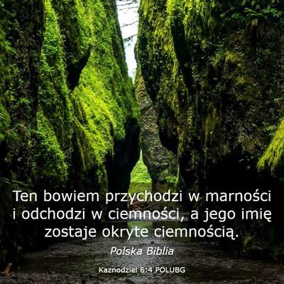 Picture 03 - Kaznodziei 6:4 POLUBG - Ten bowiem przychodzi w marności i odchodzi w - Bible Verse Picture