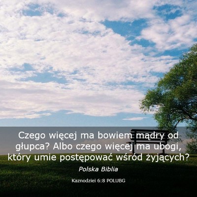 Picture 03 - Kaznodziei 6:8 POLUBG - Czego więcej ma bowiem mądry od głupca? Albo - Bible Verse Picture