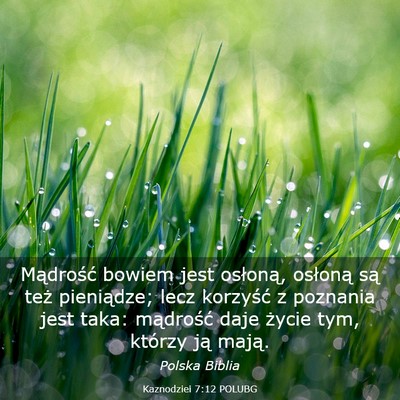 Picture 03 - Kaznodziei 7:12 POLUBG - Mądrość bowiem jest osłoną, osłoną są - Bible Verse Picture