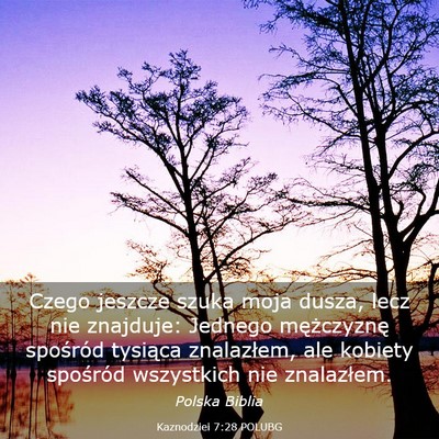 Picture 03 - Kaznodziei 7:28 POLUBG - Czego jeszcze szuka moja dusza, lecz nie - Bible Verse Picture