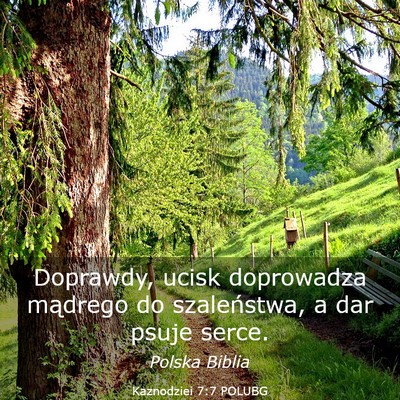 Picture 03 - Kaznodziei 7:7 POLUBG - Doprawdy, ucisk doprowadza mądrego do - Bible Verse Picture