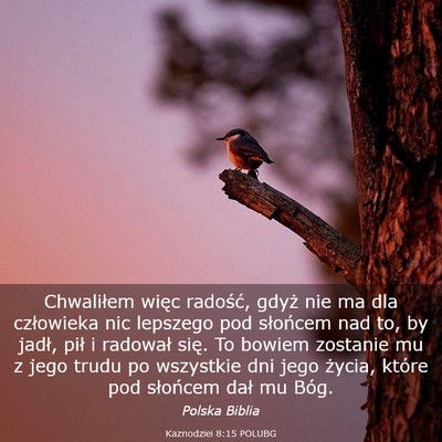Picture 03 - Kaznodziei 8:15 POLUBG - Chwaliłem więc radość, gdyż nie ma dla - Bible Verse Picture
