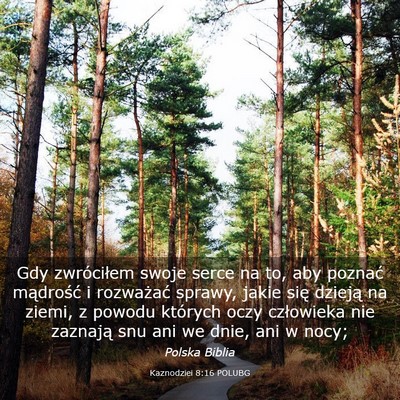 Picture 03 - Kaznodziei 8:16 POLUBG - Gdy zwróciłem swoje serce na to, aby poznać - Bible Verse Picture