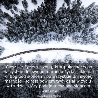 Picture 03 - Kaznodziei 9:9 POLUBG - Ciesz się życiem z żoną, którą ukochałeś - Bible Verse Picture