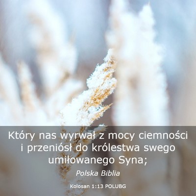Picture 03 - Kolosan 1:13 POLUBG - Który nas wyrwał z mocy ciemności i - Bible Verse Picture