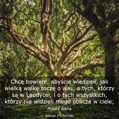 Picture 03 - Kolosan 2:1 POLUBG - Chcę bowiem, abyście wiedzieli, jak wielką - Bible Verse Picture