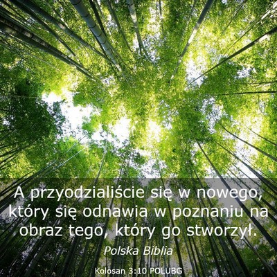 Picture 03 - Kolosan 3:10 POLUBG - A przyodzialiście się w nowego, który się - Bible Verse Picture
