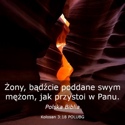 Picture 03 - Kolosan 3:18 POLUBG - Żony, bądźcie poddane swym mężom, jak - Bible Verse Picture