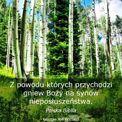 Picture 03 - Kolosan 3:6 POLUBG - Z powodu których przychodzi gniew Boży na - Bible Verse Picture
