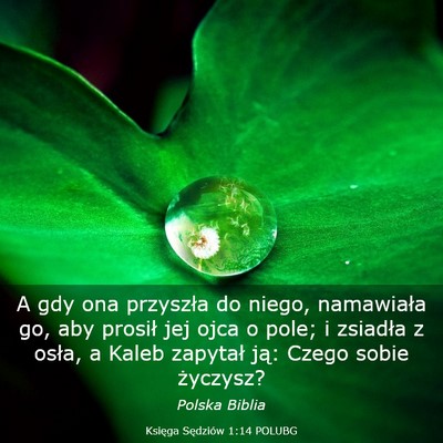 Picture 03 - Księga Sędziów 1:14 POLUBG - A gdy ona przyszła do niego, namawiała go, aby - Bible Verse Picture