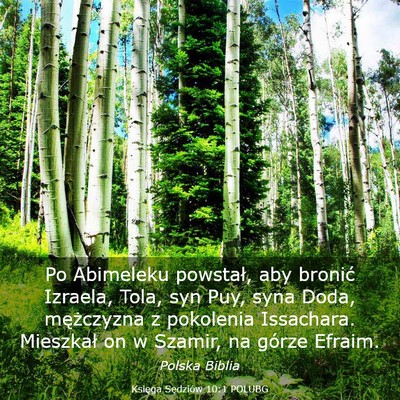 Picture 03 - Księga Sędziów 10:1 POLUBG - Po Abimeleku powstał, aby bronić Izraela, Tola, - Bible Verse Picture