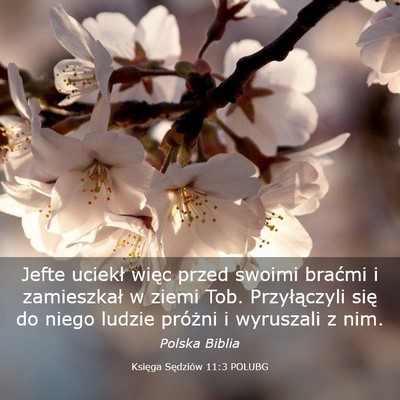 Picture 03 - Księga Sędziów 11:3 POLUBG - Jefte uciekł więc przed swoimi braćmi i - Bible Verse Picture