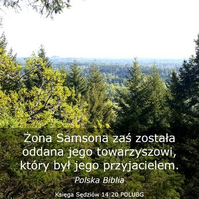 Picture 03 - Księga Sędziów 14:20 POLUBG - Żona Samsona zaś została oddana jego - Bible Verse Picture