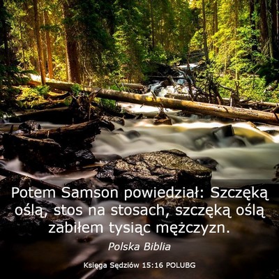 Picture 03 - Księga Sędziów 15:16 POLUBG - Potem Samson powiedział: Szczęką oślą, stos - Bible Verse Picture