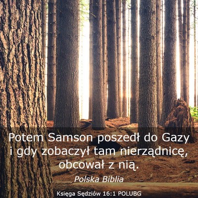 Picture 03 - Księga Sędziów 16:1 POLUBG - Potem Samson poszedł do Gazy i gdy zobaczył tam - Bible Verse Picture