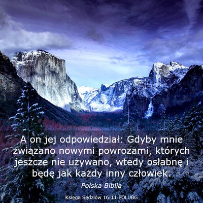 Picture 03 - Księga Sędziów 16:11 POLUBG - A on jej odpowiedział: Gdyby mnie związano - Bible Verse Picture