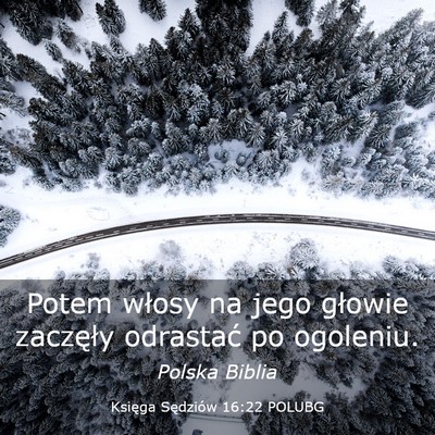 Picture 03 - Księga Sędziów 16:22 POLUBG - Potem włosy na jego głowie zaczęły odrastać - Bible Verse Picture