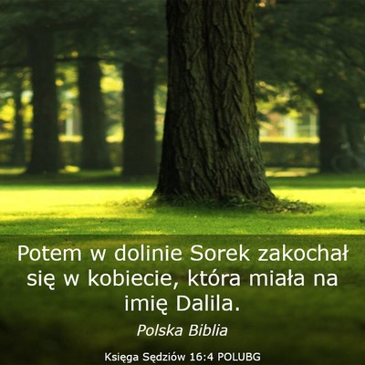 Picture 03 - Księga Sędziów 16:4 POLUBG - Potem w dolinie Sorek zakochał się w kobiecie, - Bible Verse Picture