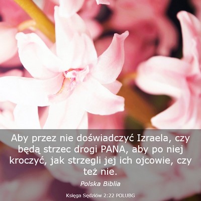 Picture 03 - Księga Sędziów 2:22 POLUBG - Aby przez nie doświadczyć Izraela, czy będą - Bible Verse Picture